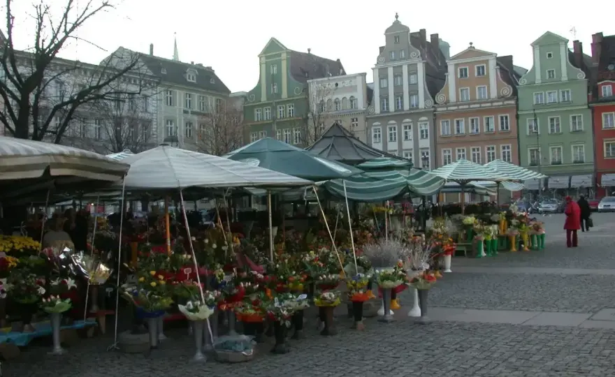 Plac Solny we Wrocławiu - co warto zobaczyć i kiedy przyjść?
