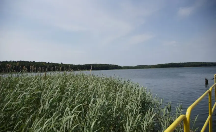 Jezioro Wilkowskie: piękne miejsce na relaks i udane wędkowanie