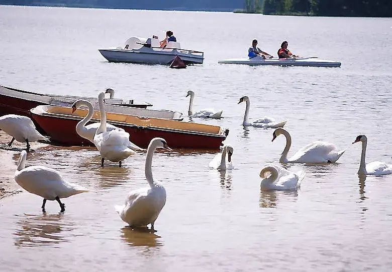 Jezioro Blizno Kujawsko Pomorskie - raj dla wędkarzy i turystów