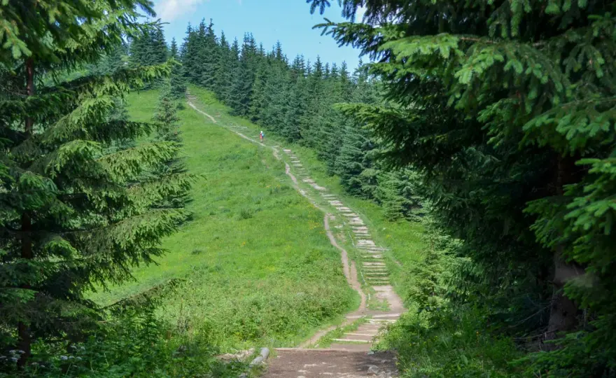 Gęsia Szyja - Szlak, czas przejścia i panorama. Jak wejść na szczyt?
