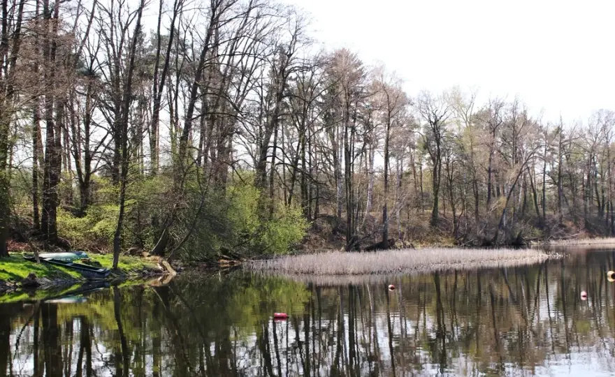 Jezioro Lucieńskie – idealne miejsce na relaks i wędkowanie w naturze