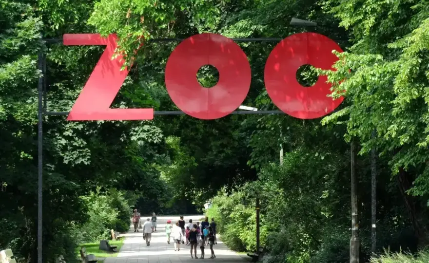 Zoo w Polsce - które warto wybrać i jak zaplanować wizytę?