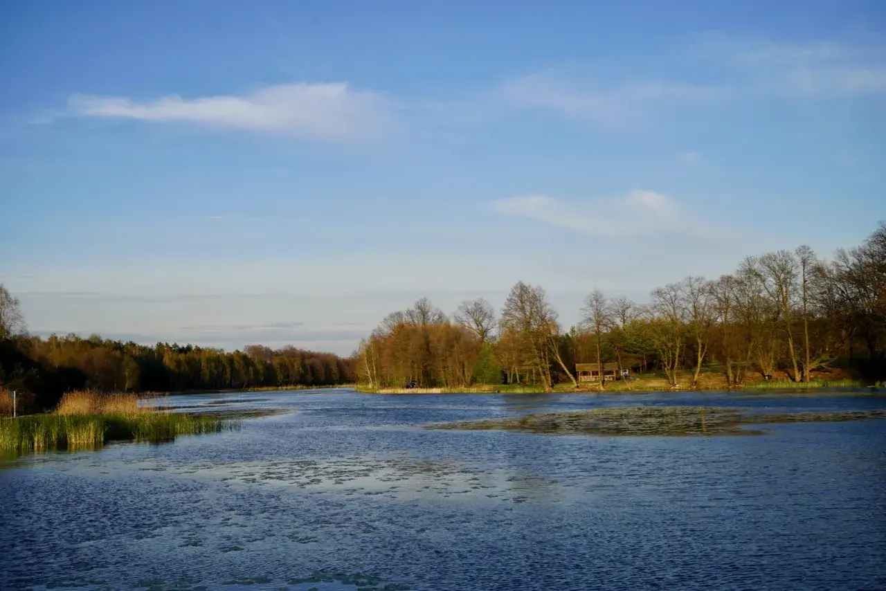 Spokojna tafla jeziora w otoczeniu lasu, z widocznymi trzcinami i drewnianą altanką. Idealne miejsce na odpoczynek od zgiełku, z dala od kleszczów.