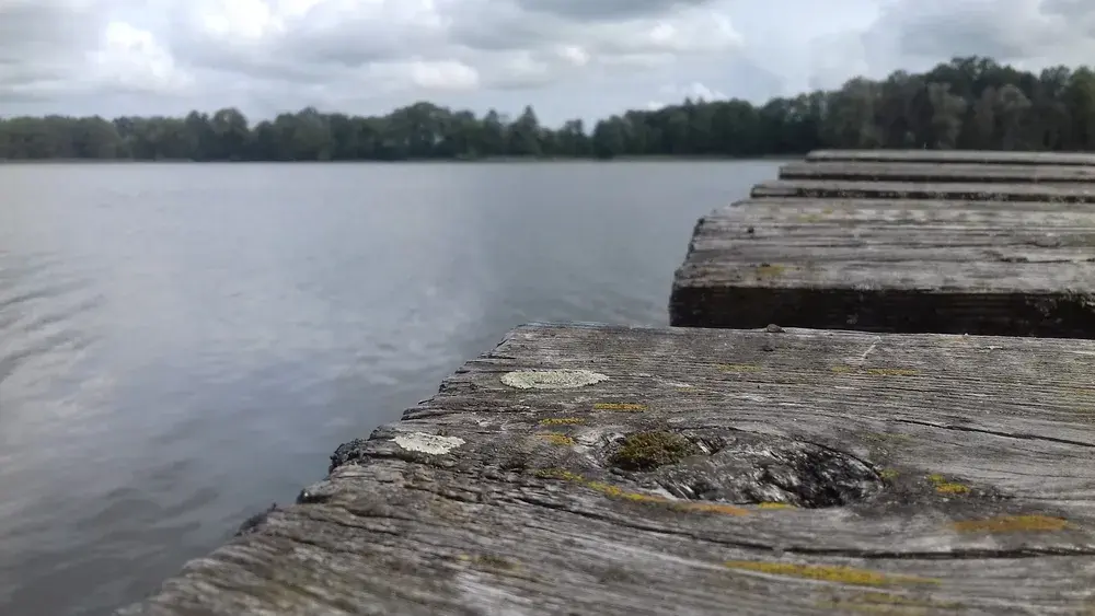 Jezioro Małszewskie: piękne miejsce na wędkowanie i relaks w naturze