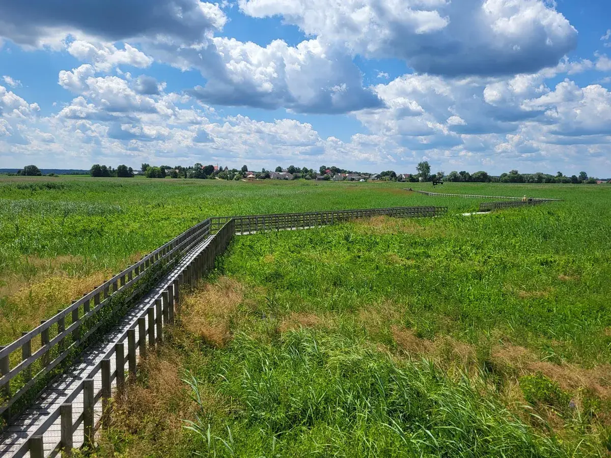 Drewniana kładka wśród zielonych łąk, prowadząca do urokliwej wsi. Nietypowe atrakcje Podlasia w pełnej krasie.