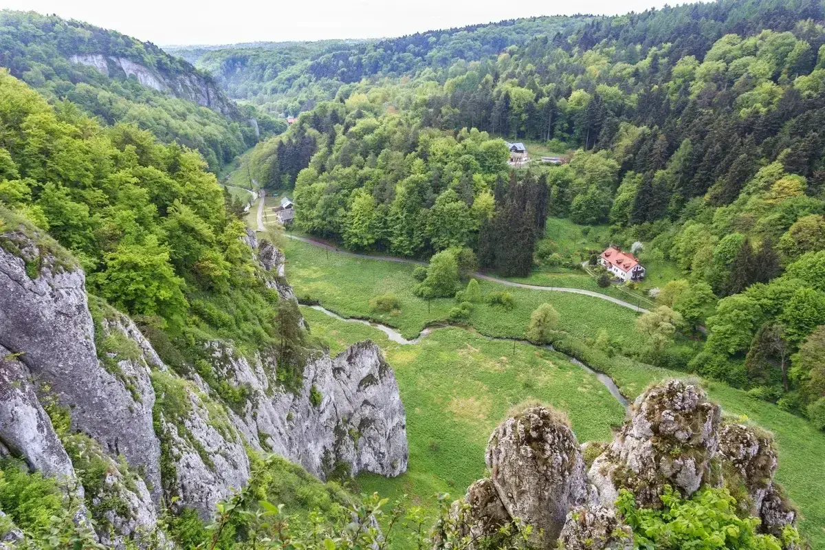 Malownicza dolina Prądnika otoczona bujną zielenią lasów, z krętą rzeką i skalnymi ostańcami. W oddali widać domy.