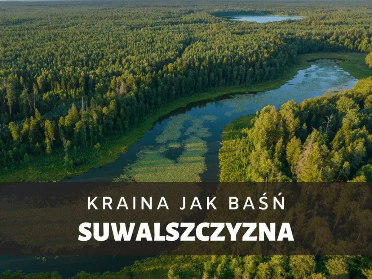 Malownicze jeziora i lasy Suwalszczyzny, kraina jak baśń.