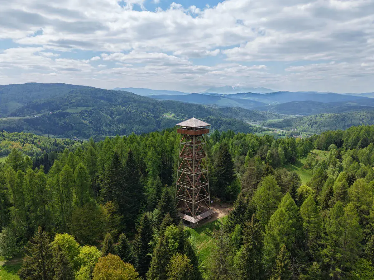 Wieża widokowa w otoczeniu lasów, z której rozciąga się panorama na górzyste tereny w okolicy Muszyny Zdroju.