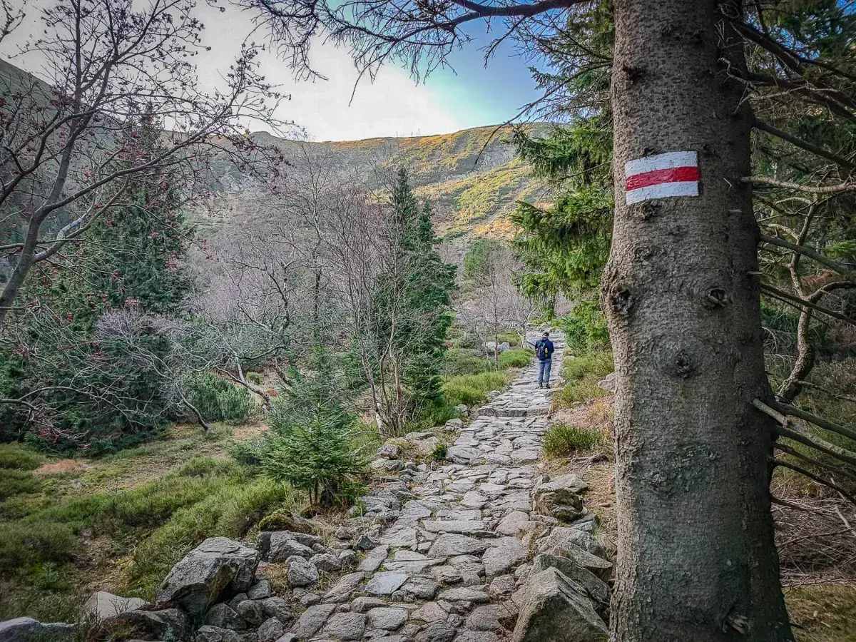 Kamienista ścieżka w górach, oznaczona czerwonym szlakiem na Śnieżkę. Wędrowiec idzie w stronę szczytu.