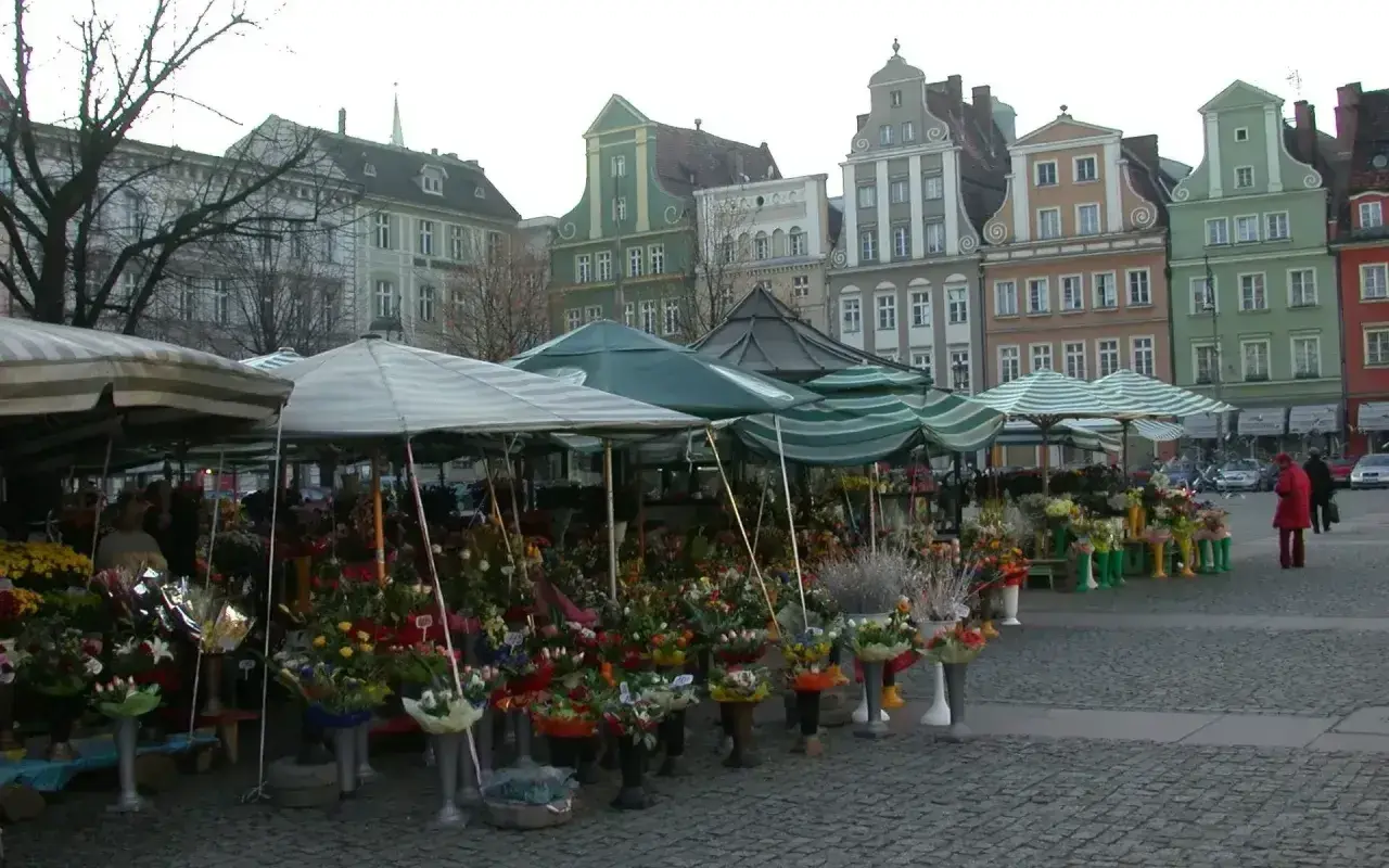 Kwiatowe stoiska na placu solnym we Wrocławiu, kolorowe kamienice w tle.