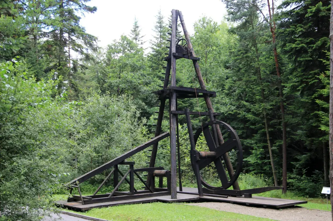 Drewniana konstrukcja przypominająca żuraw, być może dawny sprzęt górniczy lub budowlany. W tle bujna zieleń lasu, gdzie można by spotkać bobra.