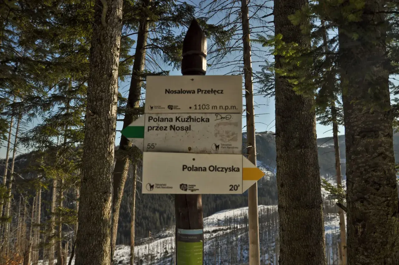 Znak szlaku na Nosalowej Przełęczy, 1103 m n.p.m. Kierunki: Polana Kuźnicka (55 min) i Polana Olczyska (20 min).