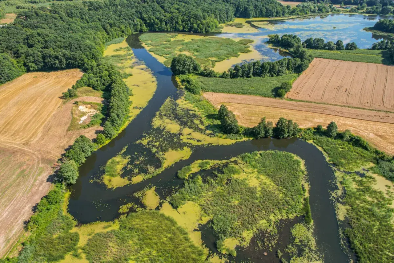 Malowniczy krajobraz w okolicach Bodzanowa: meandrująca rzeka, jezioro, lasy i pola uprawne.