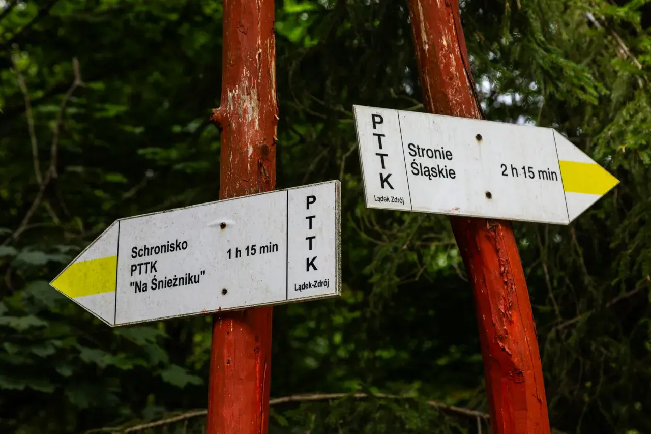 Znaki PTTK wskazują drogę do schroniska "Na Śnieżniku" (1h 15 min) i do Stronia Śląskiego (2h 15 min).