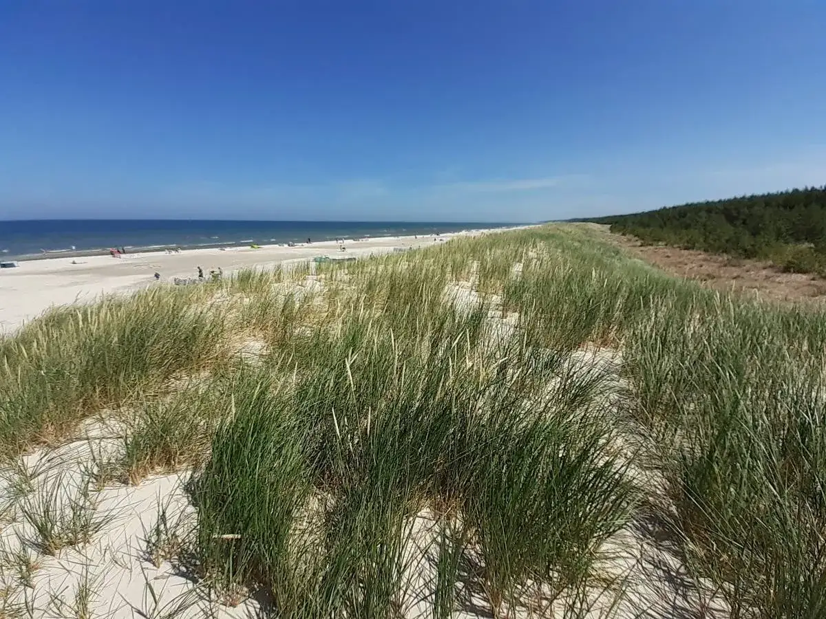 Piękna, piaszczysta lubiatowo plaża z wydmami porośniętymi trawą. W oddali widać morze i kilku plażowiczów.