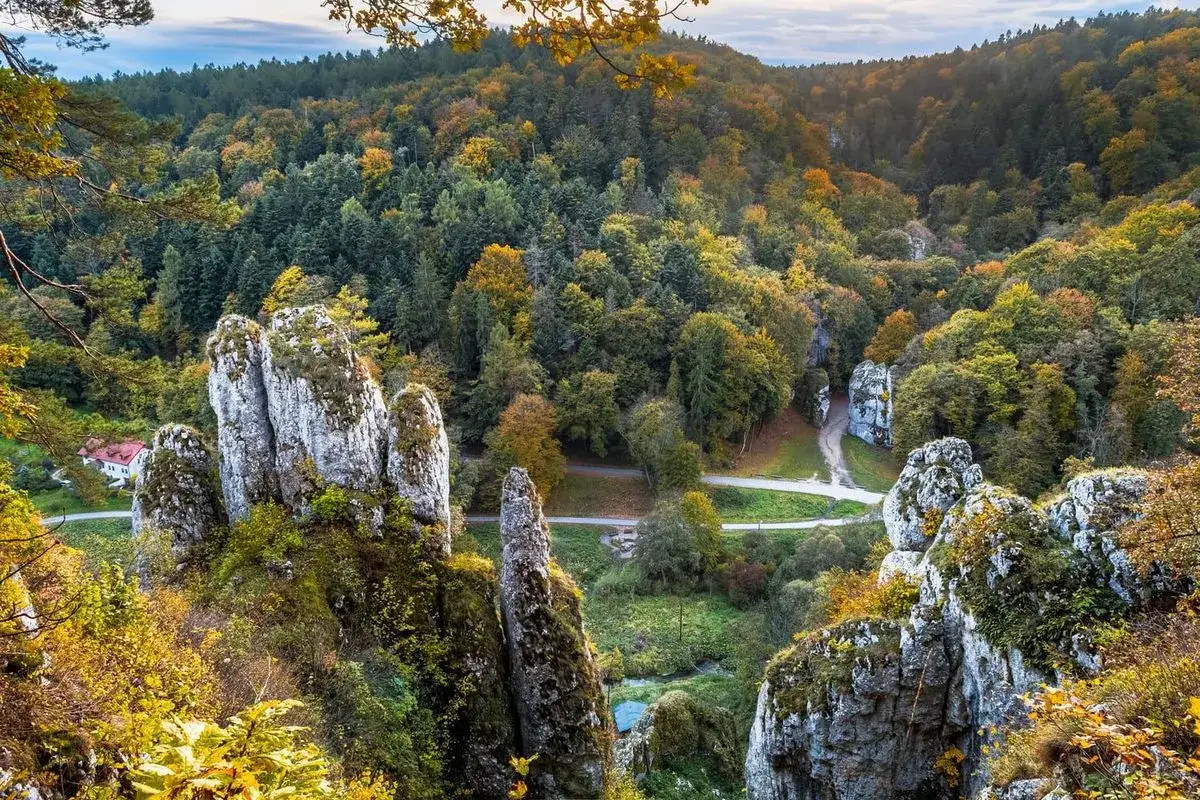 Ojcowski Park Narodowy, gdzie zacząć? Malownicze skały wapienne, jesienne lasy i dolina. Idealne miejsce na spacer.