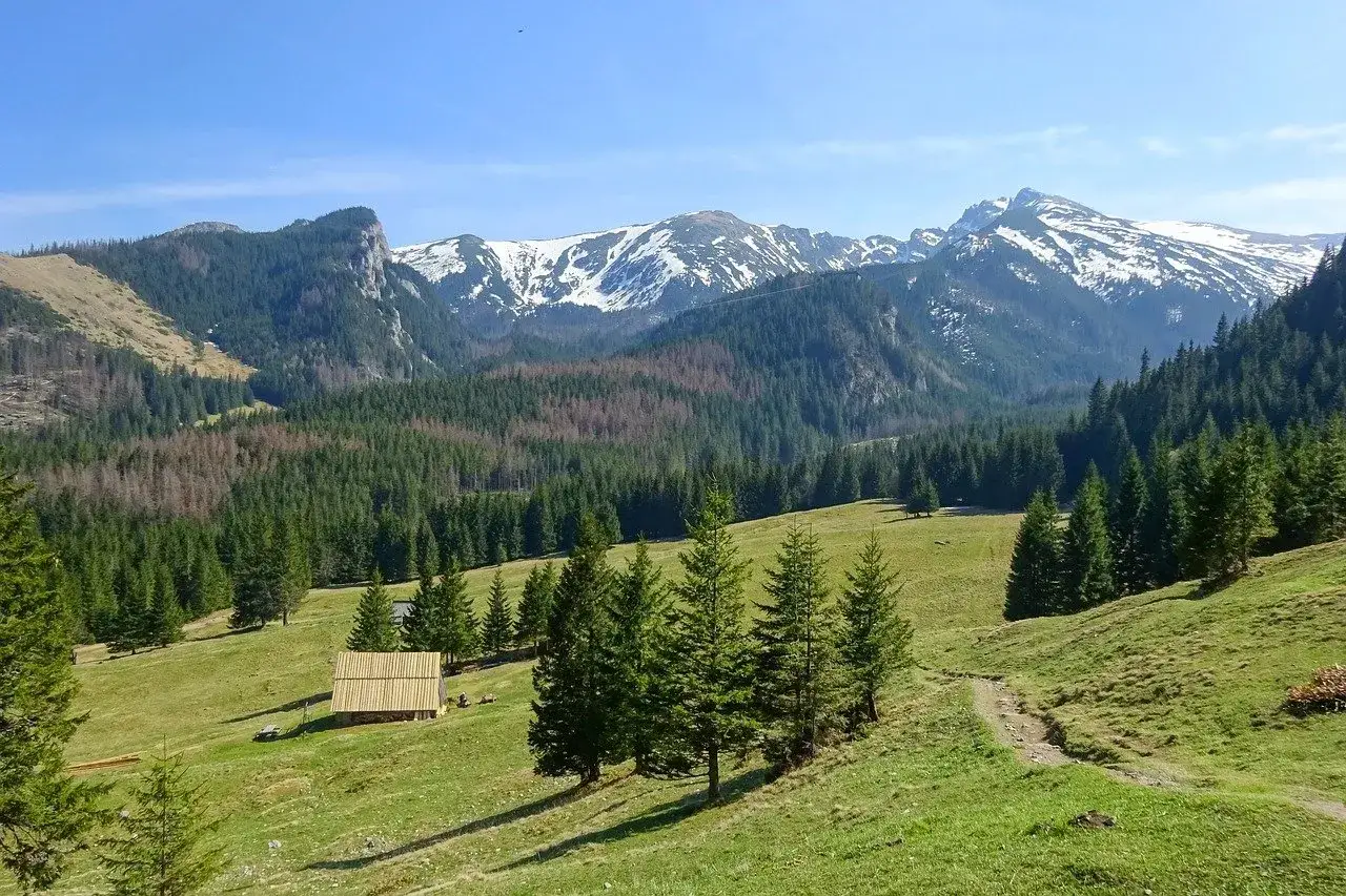 Łąka z drewnianą chatką i ścieżką, otoczona lasem i ośnieżonymi szczytami Tatr. Idealne miejsce na najpiękniejsze szlaki w Tatrach dla początkujących.