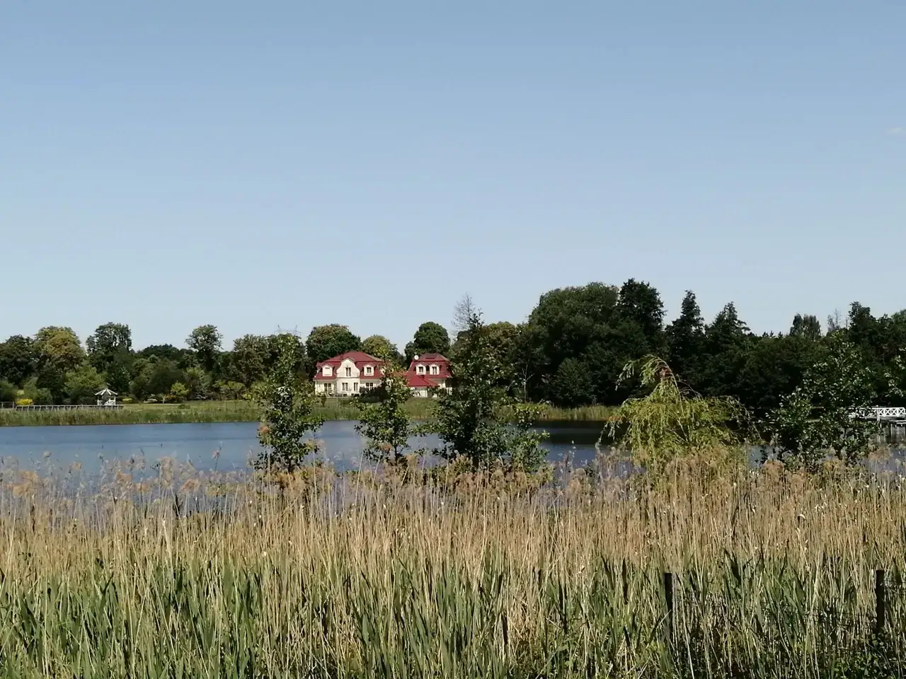 Zdjęcie Jezioro Umultowskie - tajemnice, ekologia i atrakcje w okolicy