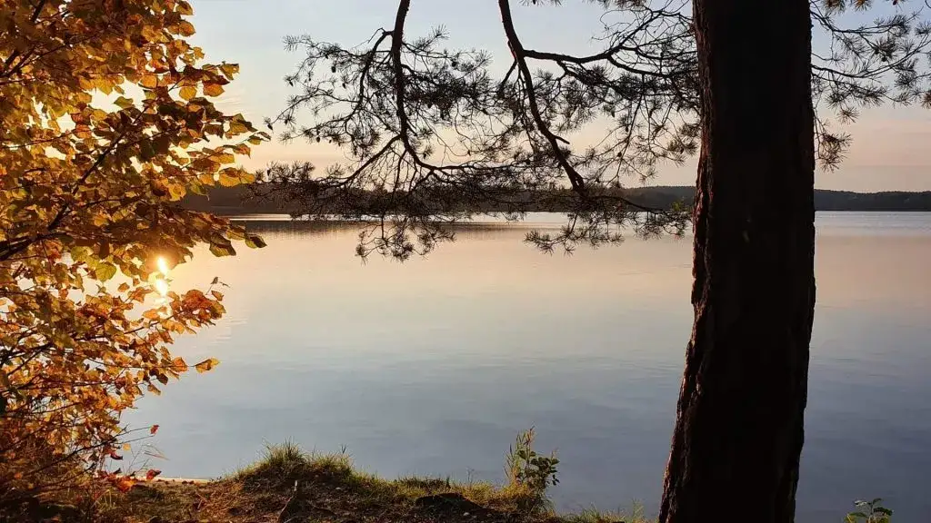 Zdjęcie Jezioro Trzechowskie: Idealne miejsce na relaks i przygodę w naturze