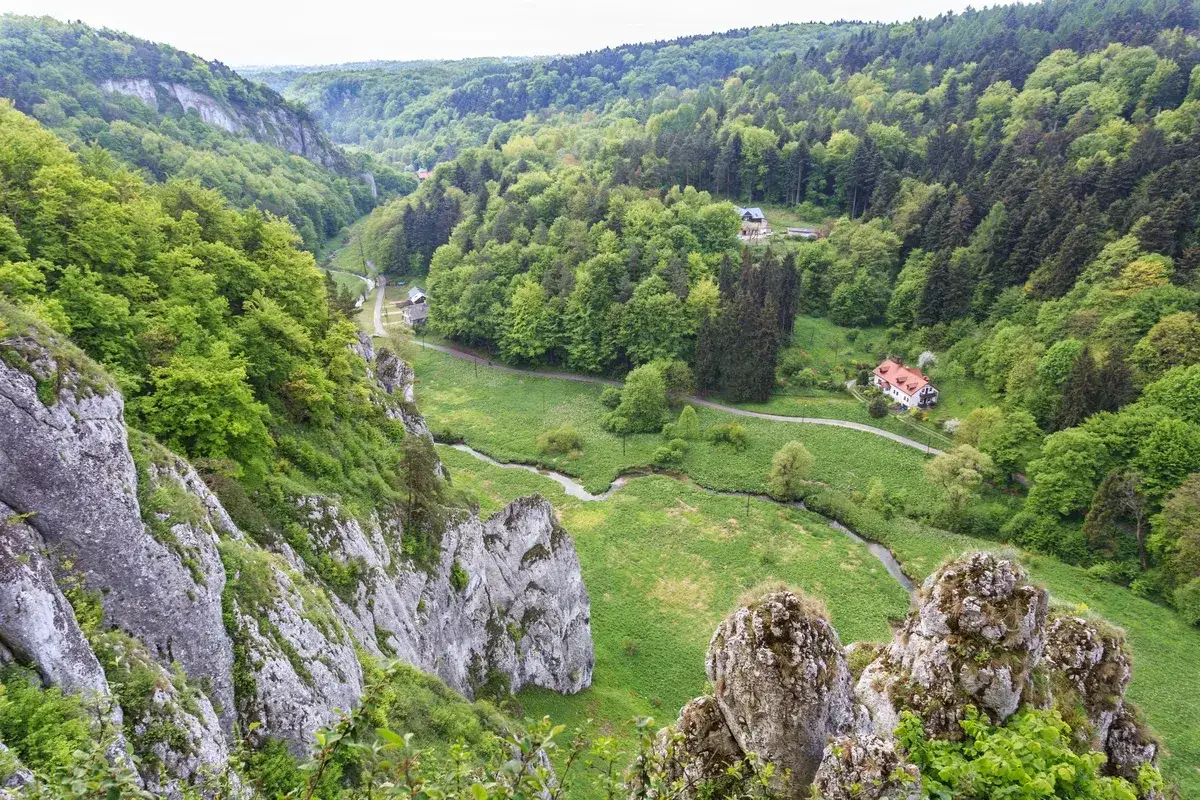 Malownicza dolina Prądnika z krętą rzeką, skalnymi ostańcami i domami ukrytymi wśród zieleni.