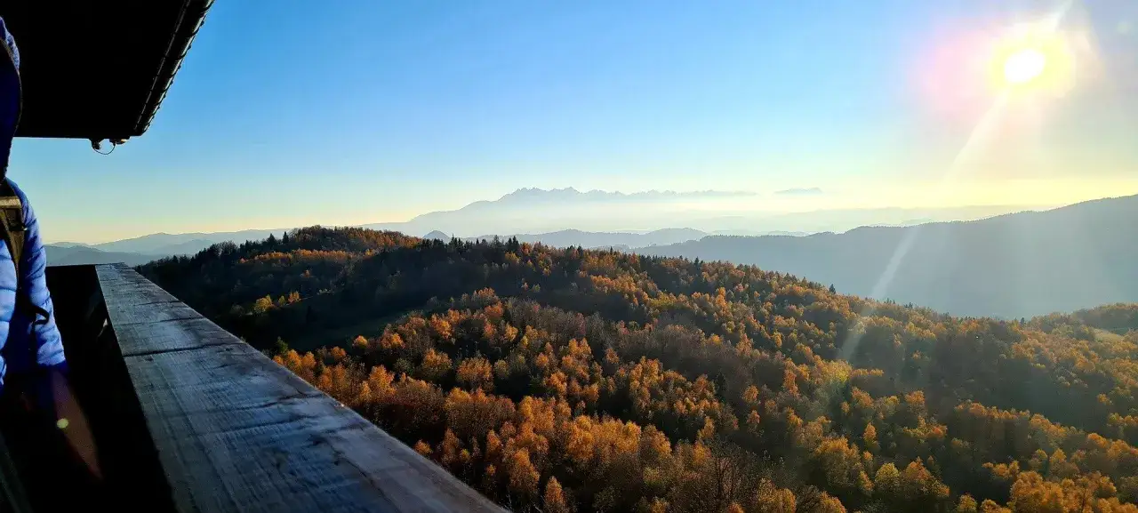 Widok z wieży widokowej na jesienne lasy i góry. W oddali majaczą Tatry. Słońce oświetla krajobraz, a na pierwszym planie widać fragment drewnianej balustrady, jakby koziarz podziwiał panoramę.