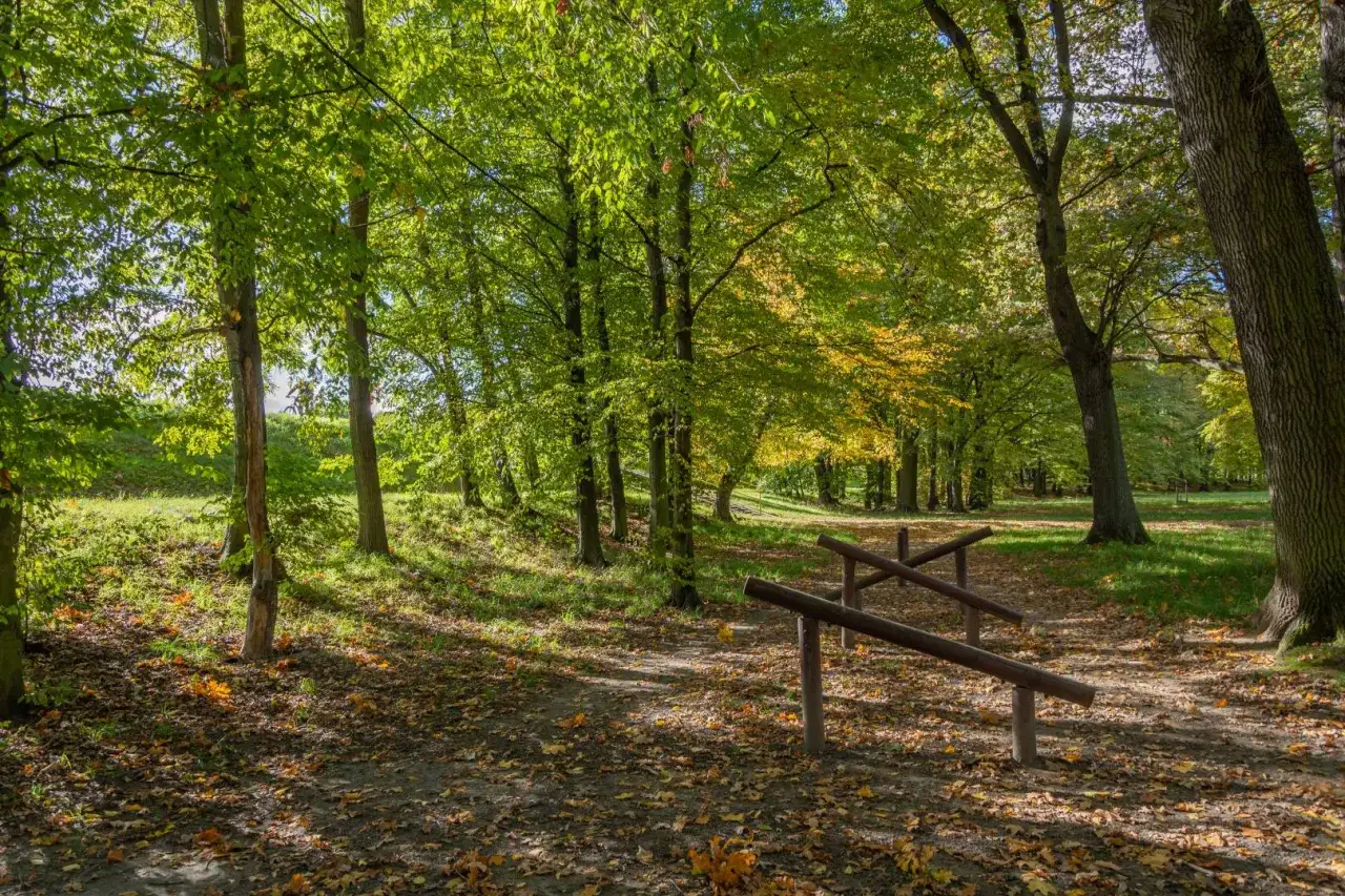Jesienny park na Biskupinie we Wrocławiu. Ścieżka wśród drzew, liście na ziemi, drewniane przyrządy do ćwiczeń.