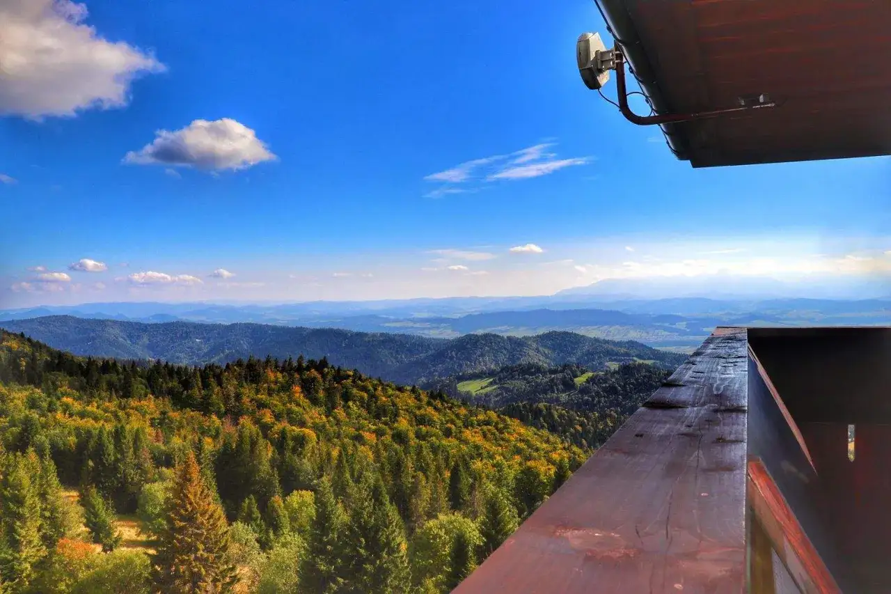 Widok z wieży widokowej na Beskidy. Las w jesiennych barwach, w oddali góry. Widać fragment drewnianej balustrady i antenę.